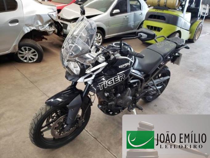 TRIUMPH TIGER 19/19